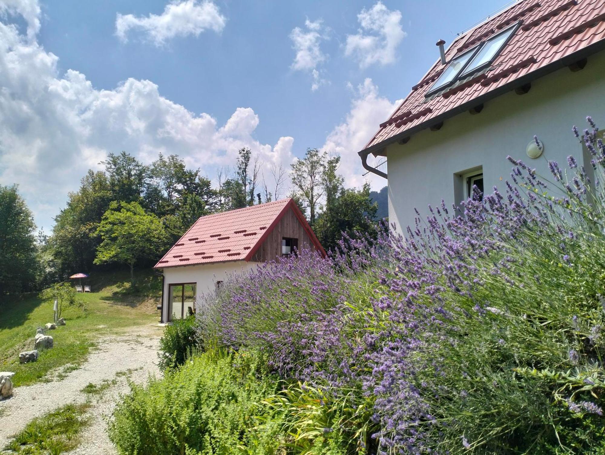 Holiday Home Dreams โคบาริด ภายนอก รูปภาพ